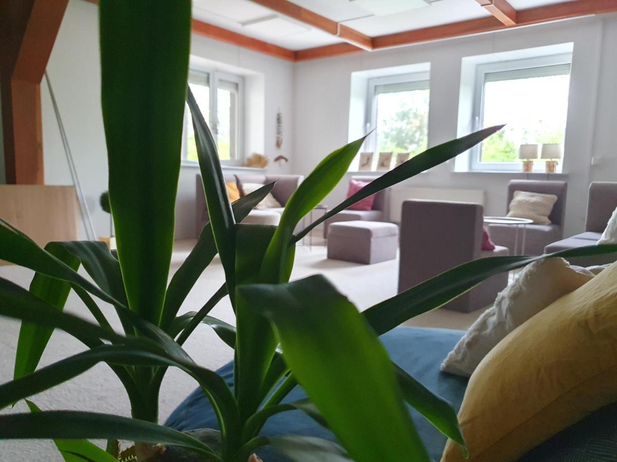 Surf Inn 克莱佩达 外观 照片